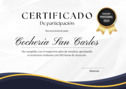 Certificate 1