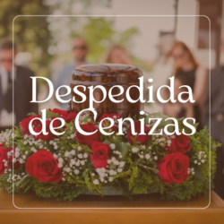 Despedida de Cenizas