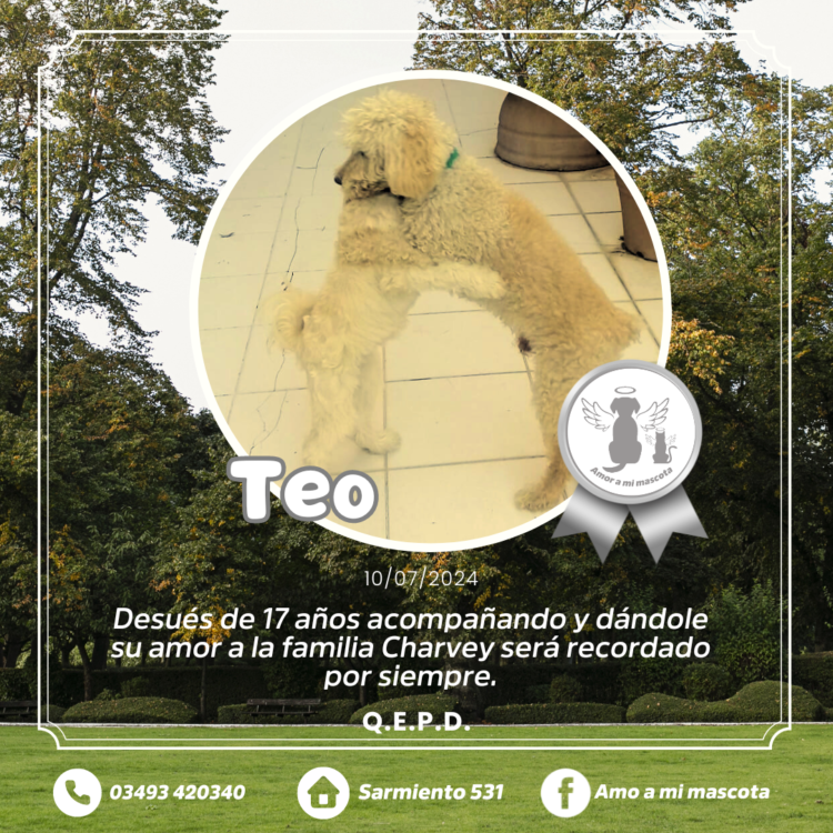 Teo