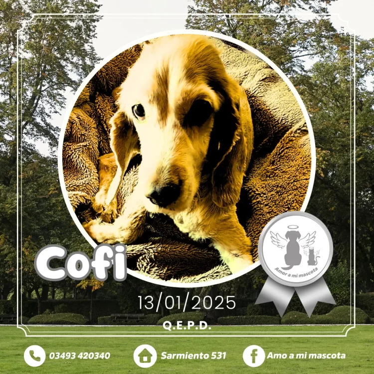 COFI – 13-01-2025