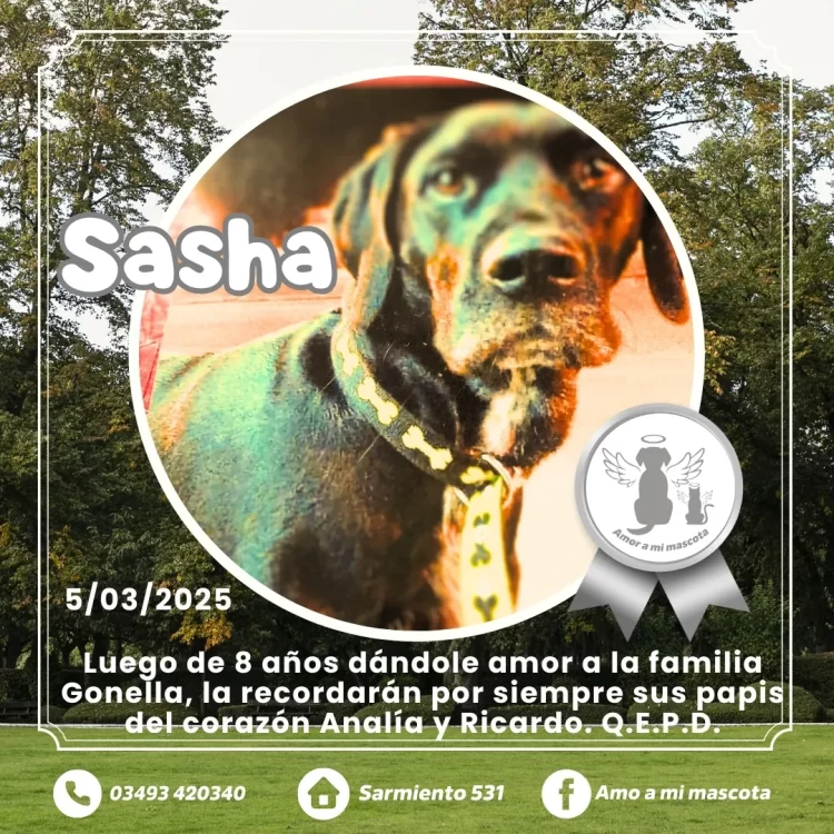 Sasha 05-03-2025