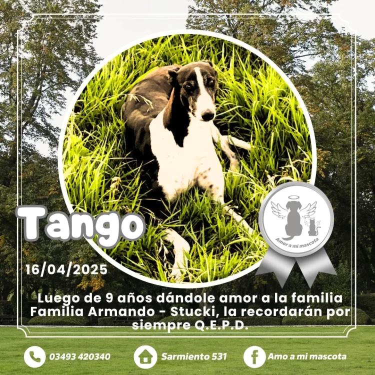 Tango 16-04-2025