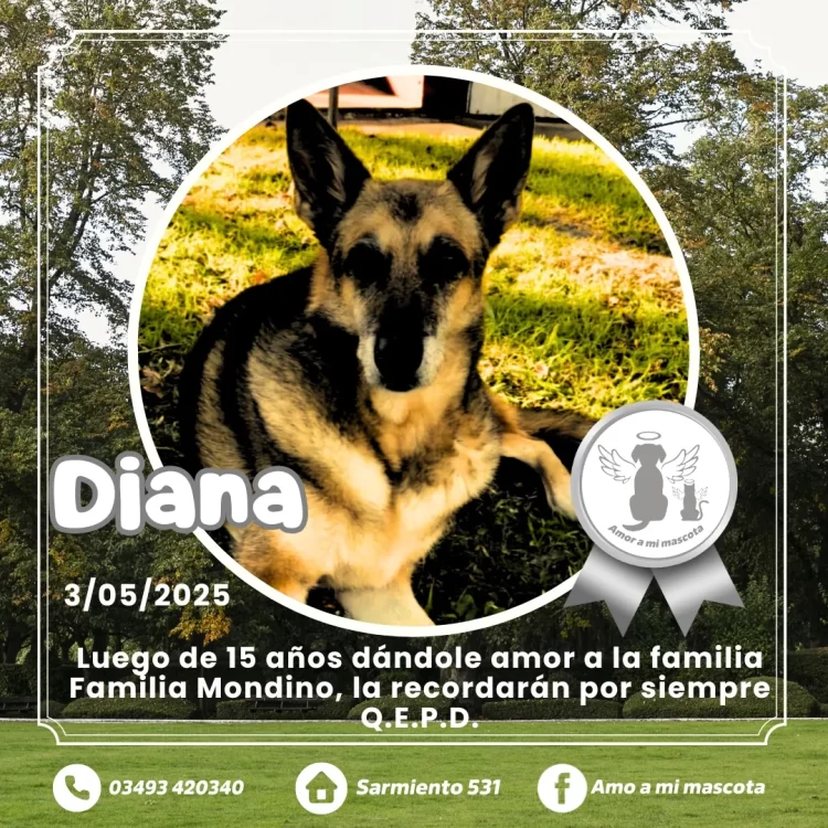 Diana 3-05-2025